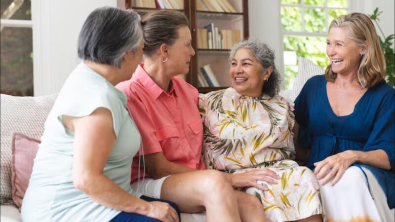 Au sourire des Dames