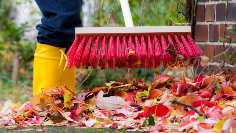 ENTRETIEN DES TROTTOIRS ET ACCOTEMENTS