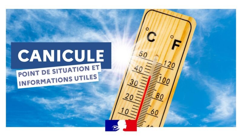 CANICULE : LES BONS GESTES