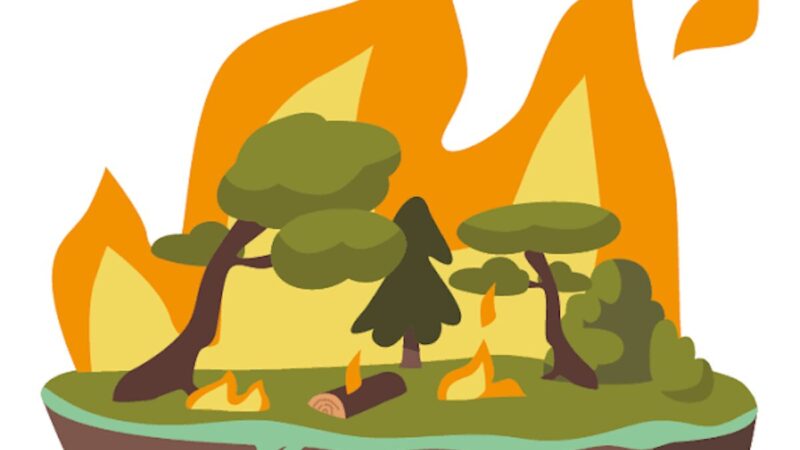 ALERTE AUX RISQUES D&rsquo;INCENDIE